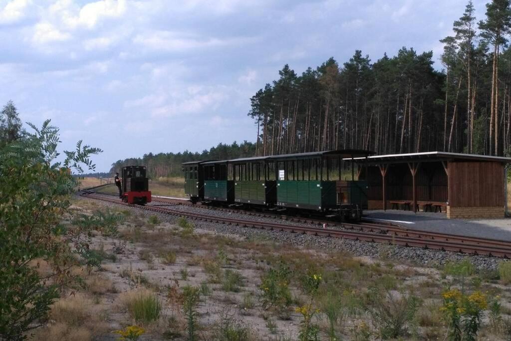 Rietschen, Natur Erleben Экстерьер фото