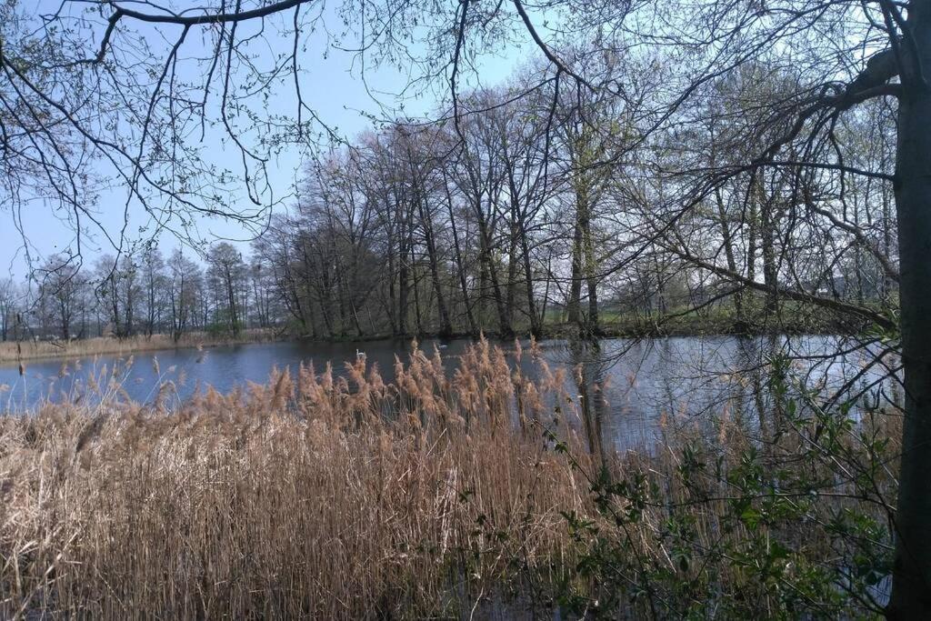 Rietschen, Natur Erleben Экстерьер фото